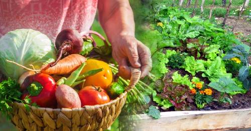 huerta